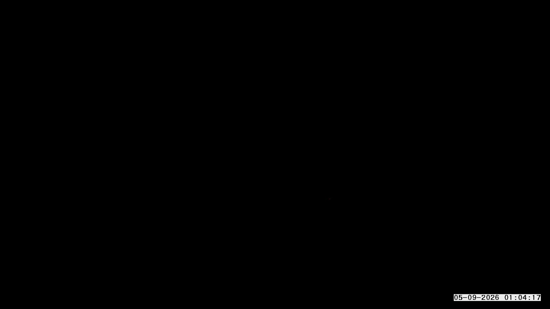 Webcam-Livebild